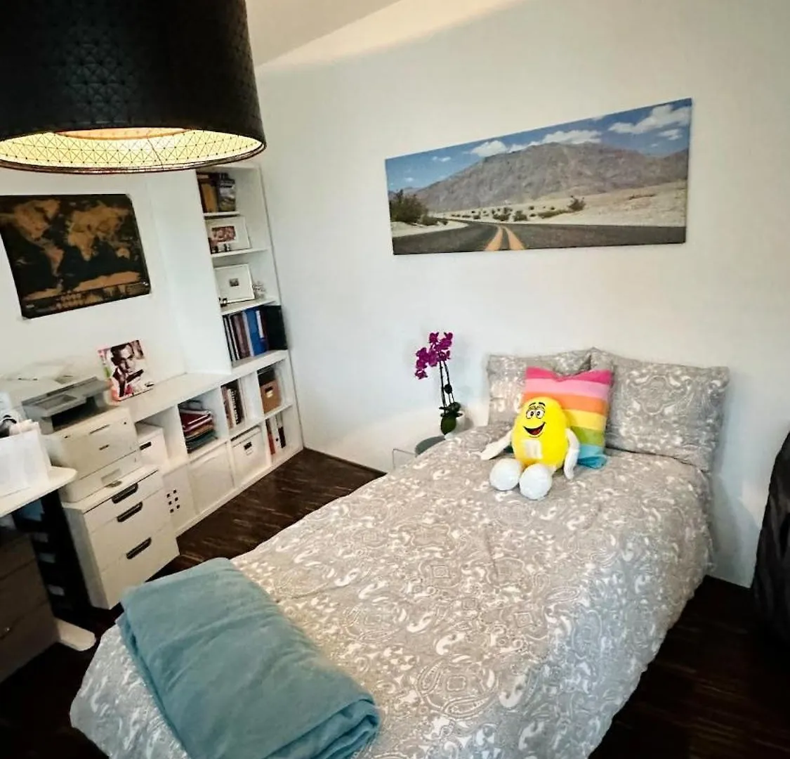 Penthouse 5 Room Duplex 3 Terraces, Near Center And Rhine Basel 0*,  Switzerland