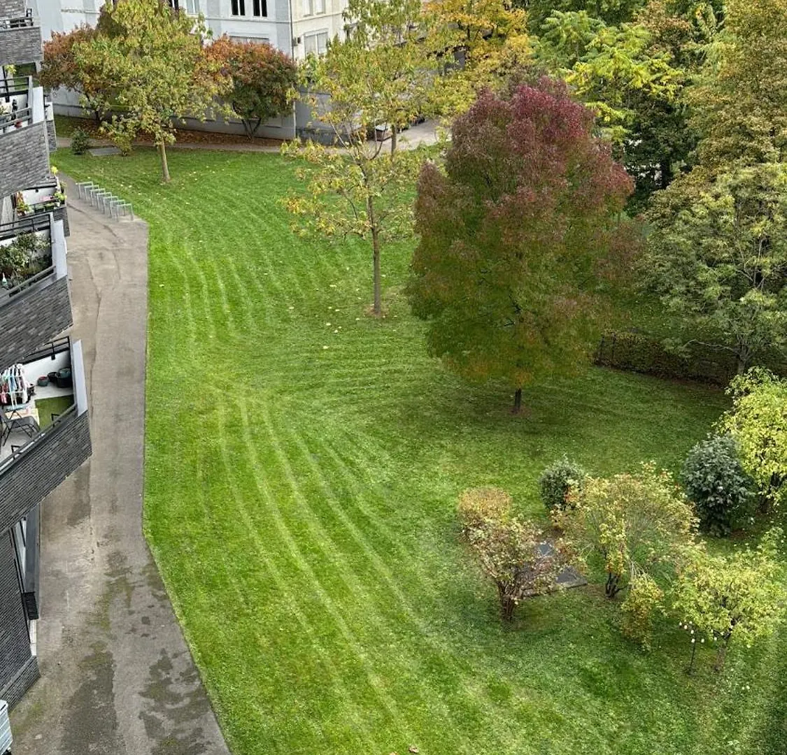Penthouse 5 Room Duplex 3 Terraces, Near Center And Rhine Basel Apartment