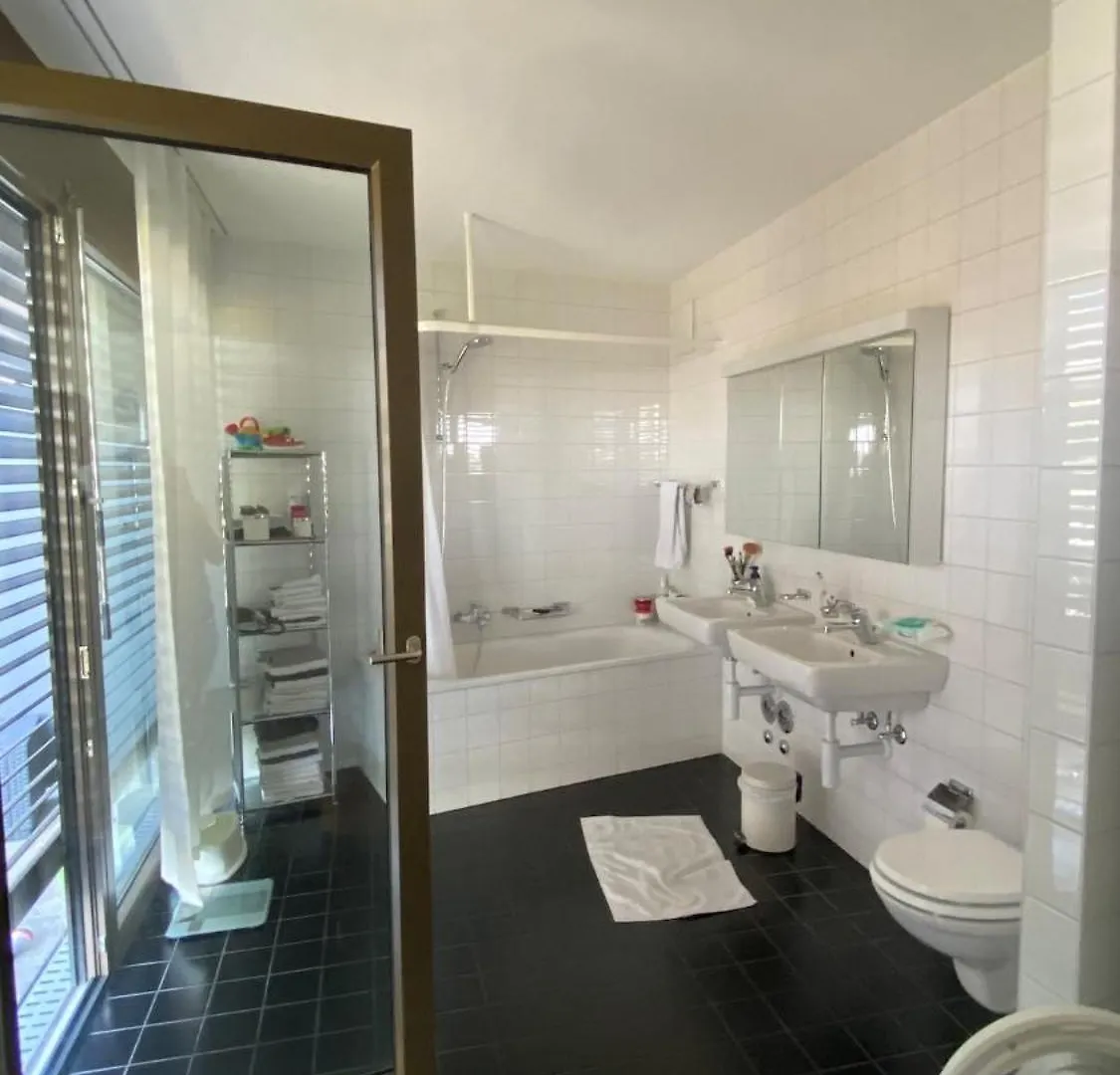 Penthouse 5 Room Duplex 3 Terraces, Near Center And Rhine Basel