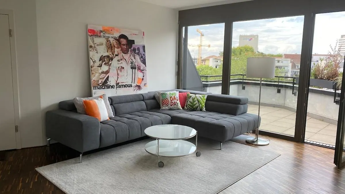 Penthouse 5 Room Duplex 3 Terraces, Near Center And Rhine Basel