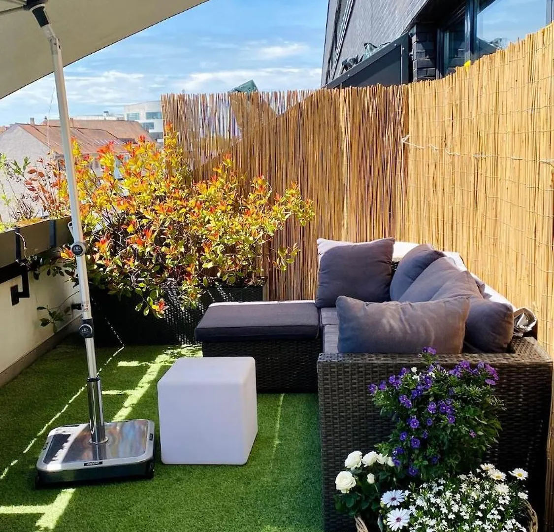 Apartment Penthouse 5 Room Duplex 3 Terraces, Near Center And Rhine Basel